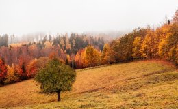 Gdzie wybrać się na jesienny urlop?